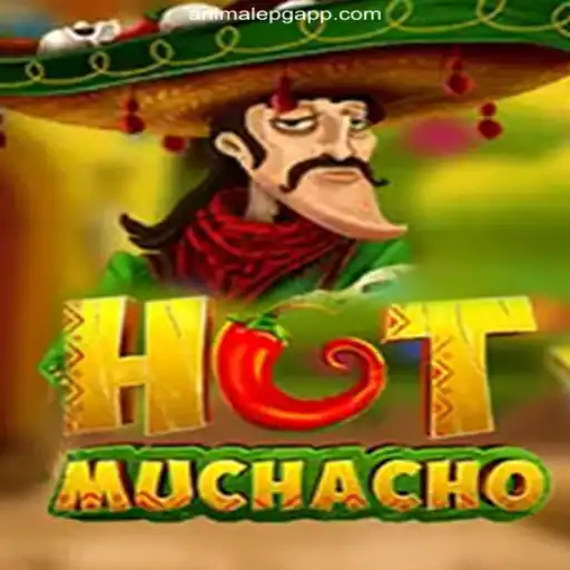 HotMuchacho: Dive into the Thrilling Experience of Brazil's Premier Online Casino Game